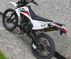 Ccm 230