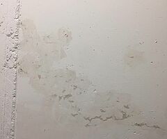 Painter - Image 8/10