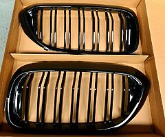 BMW Kidney Grills
