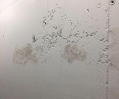 Painter - Image 10/10