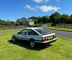 Twincam for sale