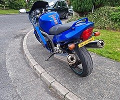 Honda cbr1100xx super blackbird - Image 6/10