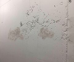 Painter - Image 5/10