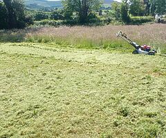 Summer clean up