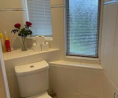 Isle of bute - Holiday let - Image 8/10