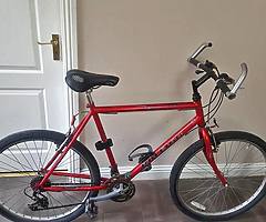 Bike