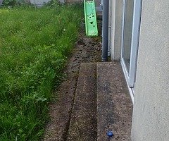 Summer vibes - Image 4/8