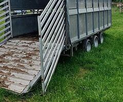 Ifor williams