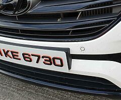 Ashbourne Custom plates