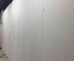 Painter
