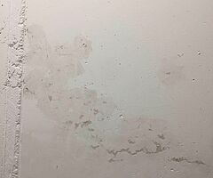 Painter - Image 10/10