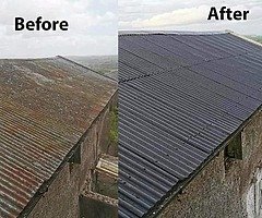 Roof painters