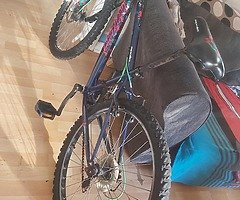 Bike - Image 4/6