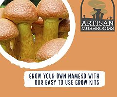 Exotic Mushroom Grow Kits - Choose From Over 20 Different Easy To Use Mushroom Growing Kits