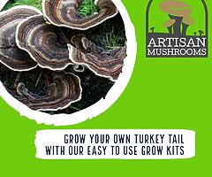 Exotic Mushroom Grow Kits - Choose From Over 20 Different Easy To Use Mushroom Growing Kits - Image 10/10