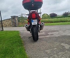 Honda Blackbird Cbr 1100 xx - Image 3/8