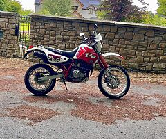 Suzuki dr650 r Dakar 1992  - Image 5/8
