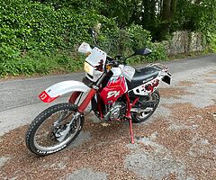 Suzuki dr650 r Dakar 1992  - Image 6/8