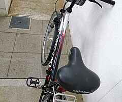 Women bicycle Kellys - Image 3/5