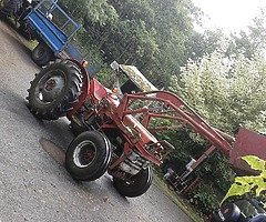 135