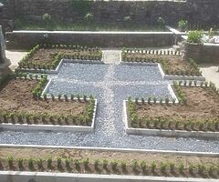 Box Hedging - Image 6/10