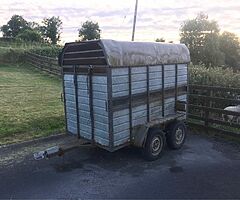 8x4 cattle trailer