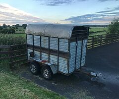 8x4 cattle trailer - Image 5/5