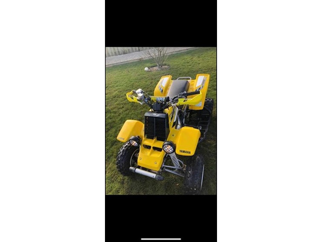 Yamaha Banshee Yellow 50th Anivarsary Model ❗️Road Registered❗️ - 4/7