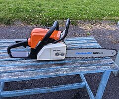 Stihl MS170 Chainsaw
