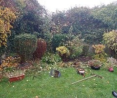 Summer clean up