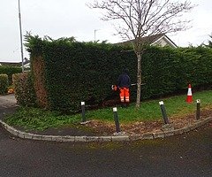 Summer clean up - Image 4/6