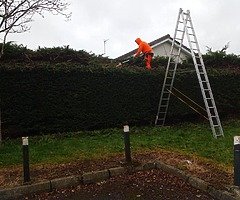 Summer clean up - Image 5/6