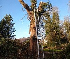 Summer clean up - Image 6/6