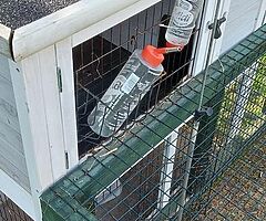 Rabbit hutch and run. - Image 4/8