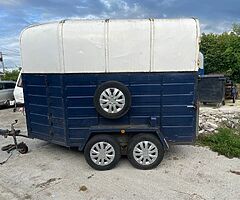 Galway horse box - Image 6/6
