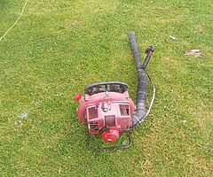 Leaf blower