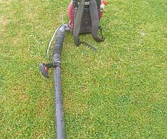 Leaf blower