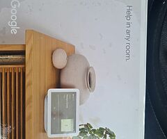Google nest hub