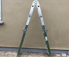 Multi purpose LADDER