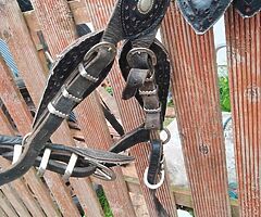 Heavy harness