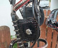 Heavy harness - Image 3/4