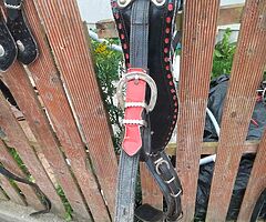 Heavy harness - Image 4/4