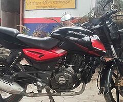 Pulsar 150cc