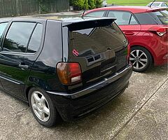 Polo 6n