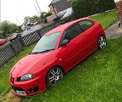 Cupra bumpers