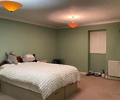 Interior exterior paint