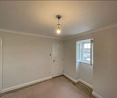 Interior exterior paint