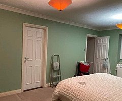 Interior exterior paint - Image 3/4