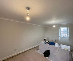 Interior exterior paint - Image 4/4