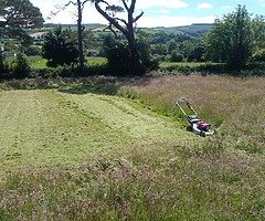 Summer clean up